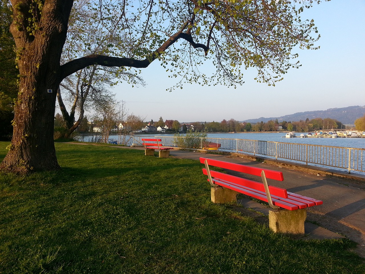 从青少年比 从青少年比