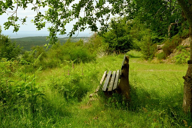 球员精准的 球员精准的